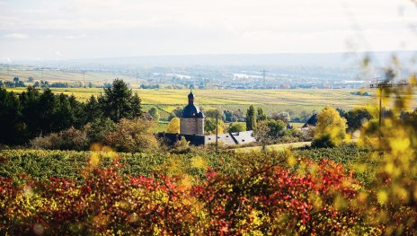 Schloss Vollrads | © Saskia Marloh Schloss Vollrads | © Saskia Marloh