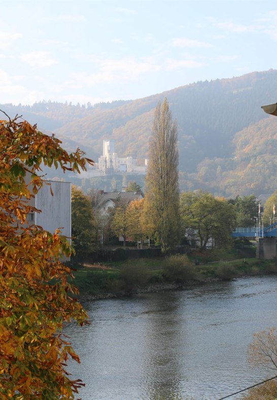 IMG_0529 | &copy; C. Edrich