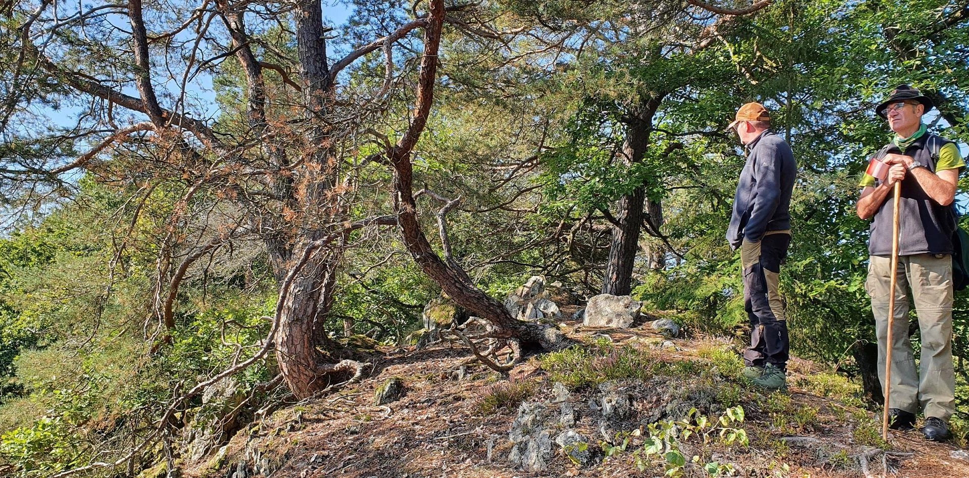 Wanderwarte am Kleinmödersnack | © T. Biersch Wanderwarte am Kleinmödersnack | © T. Biersch
