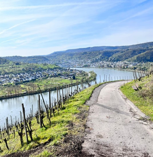 Wein | &copy; Weingut Lorenz