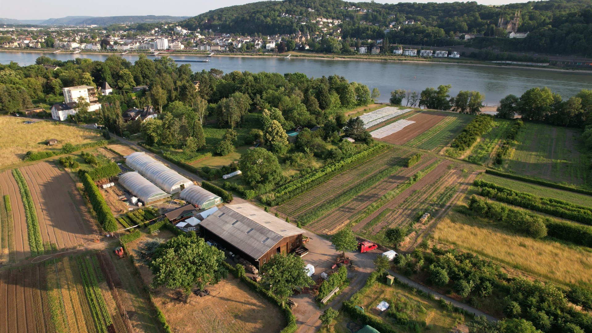 1 | © Katringer Grünzeug eG 1 | © Katringer Grünzeug eG