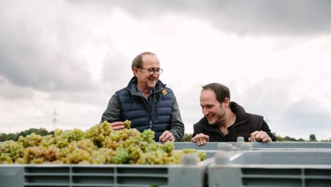 Weinlese Jakob Jung | © Weingut Jakob Jung Weinlese Jakob Jung | © Weingut Jakob Jung