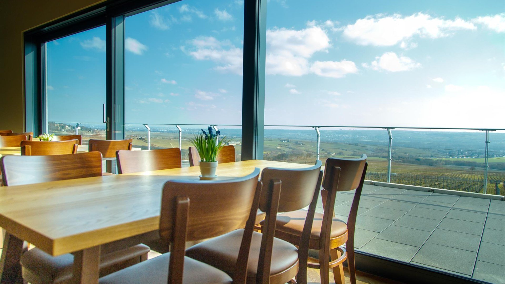 Aussicht im Riesling Pier | &copy; Christine Ke&szlig;ler