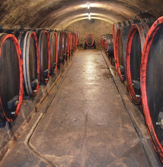 Weinkeller | © Luise Lutterbach Weinkeller | © Luise Lutterbach