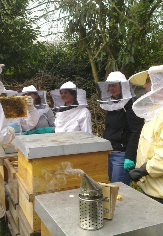 Imkerkurs | &copy; Imkerverein Linz/Rhein - Unkel