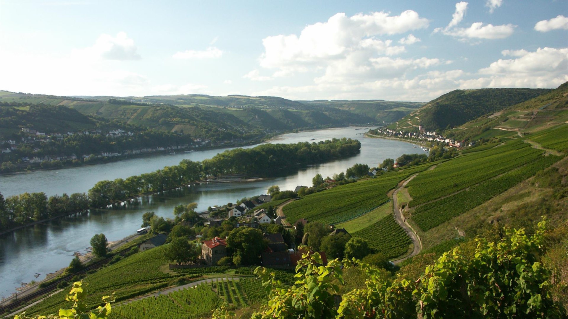 Rhein bei Lorch | © Weingut Laquai Rhein bei Lorch | © Weingut Laquai