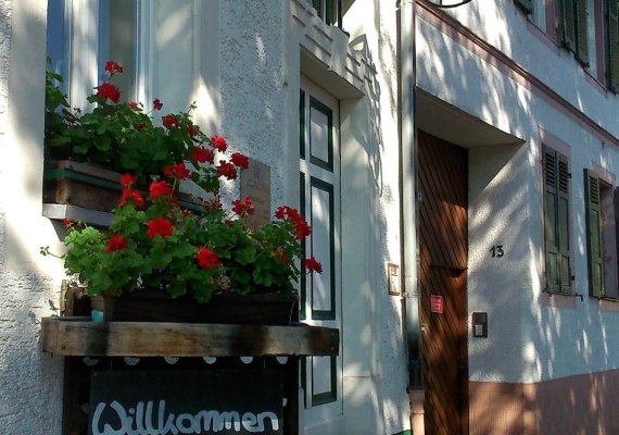 Weing&uuml;ter Wegeler Eingang | &copy; Weing&uuml;ter Wegeler