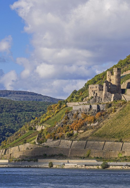 Ehrenfels bei Rüdesheim | © Friedrich Gier/Romantischer Rhein Tourismus GmbH Ehrenfels bei Rüdesheim | © Friedrich Gier/Romantischer Rhein Tourismus GmbH