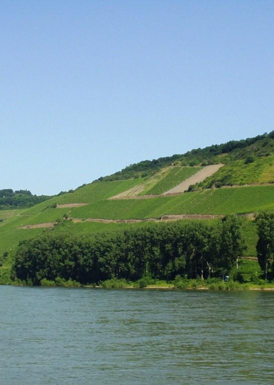 Bopparder Hamm | © Petra Winkler-Tourist Information Boppard Bopparder Hamm | © Petra Winkler-Tourist Information Boppard