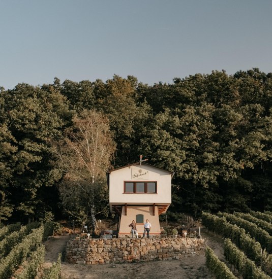 InesBarwig_WeingutDiefenhardt_VisualKey-10 | © Weingut Diefenhardt InesBarwig_WeingutDiefenhardt_VisualKey-10 | © Weingut Diefenhardt