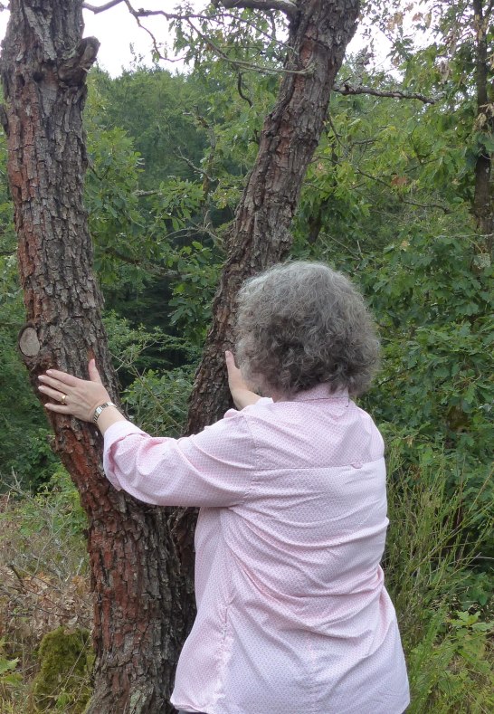 Achtsamkeit | © Stadt Lahnstein Achtsamkeit | © Stadt Lahnstein