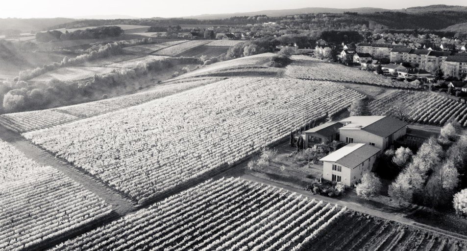 Luftbild Weingut Freimuth | © Weingut Freimuth Luftbild Weingut Freimuth | © Weingut Freimuth
