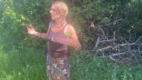 Wanderung | © Angelika Hölz Wanderung | © Angelika Hölz