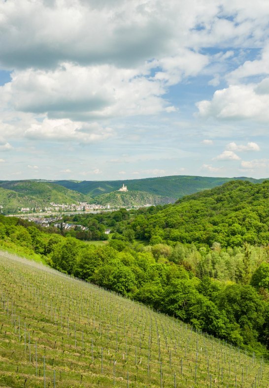 Blick | © Dominik Ketz Blick | © Dominik Ketz