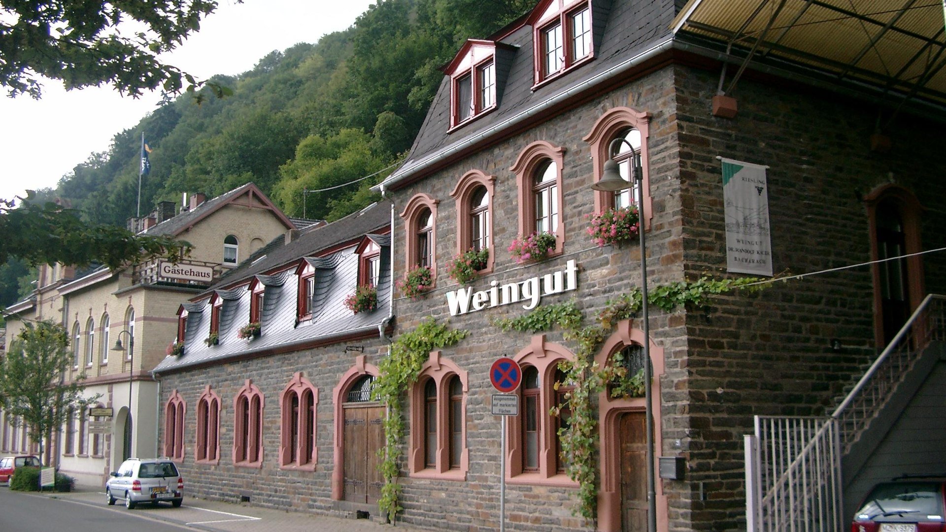 Weingut Kauer | © Weingut Kauer Weingut Kauer | © Weingut Kauer