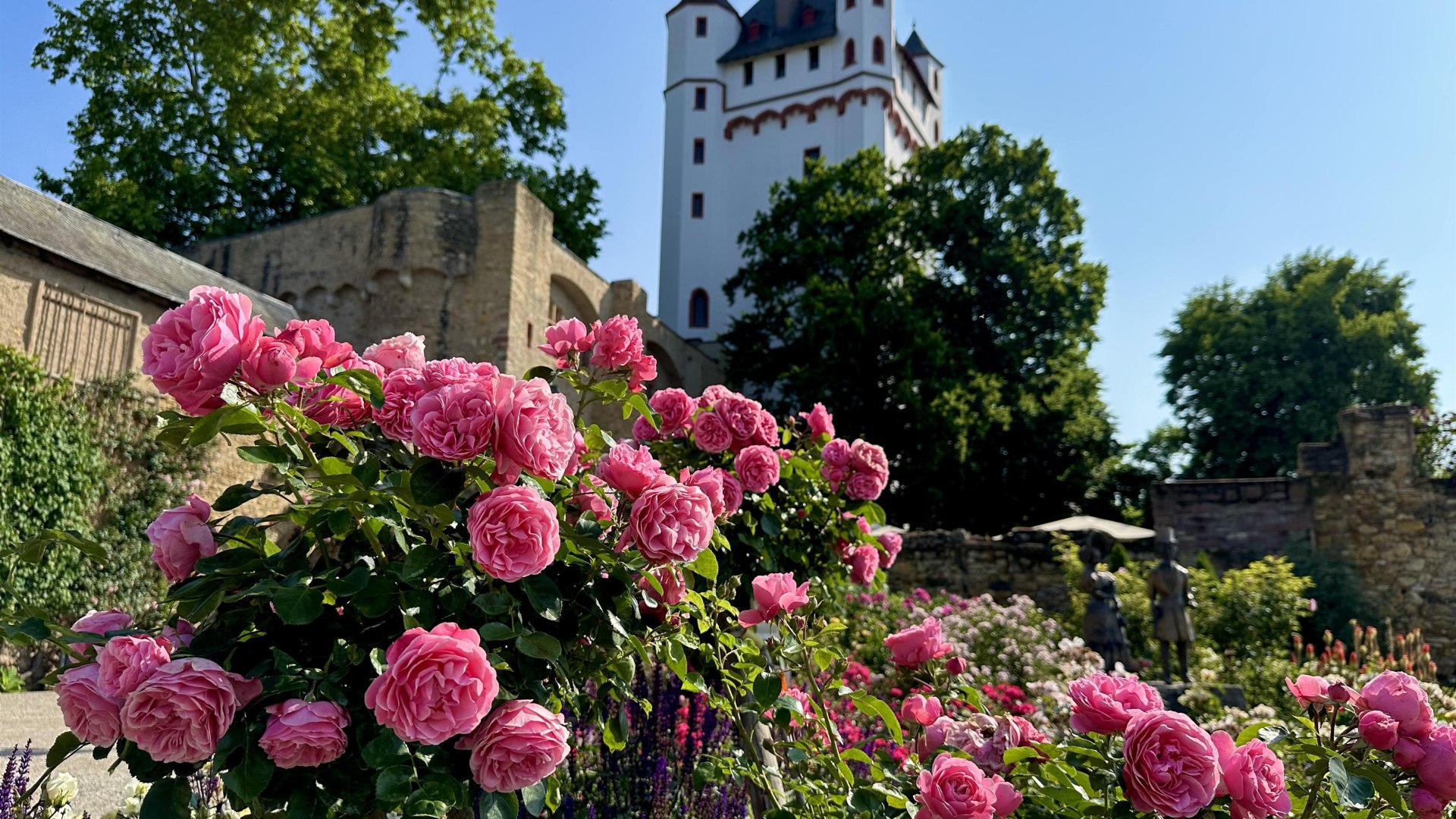Standesamt in der Kurfürstlichen Burg | © Stadt Eltville Standesamt in der Kurfürstlichen Burg | © Stadt Eltville