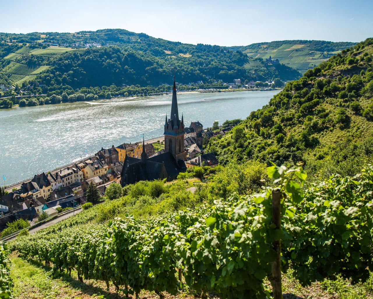 Blick auf Lorch | &copy; Henry Tornow