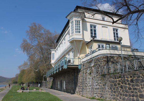 Bucheneck2 | &copy; Caroline Fritzen