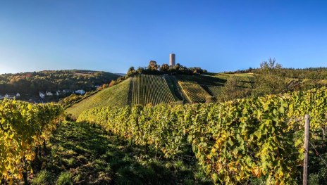 Weinberge Burgruine Scharfenstein | &copy; Christian M&uuml;ringer