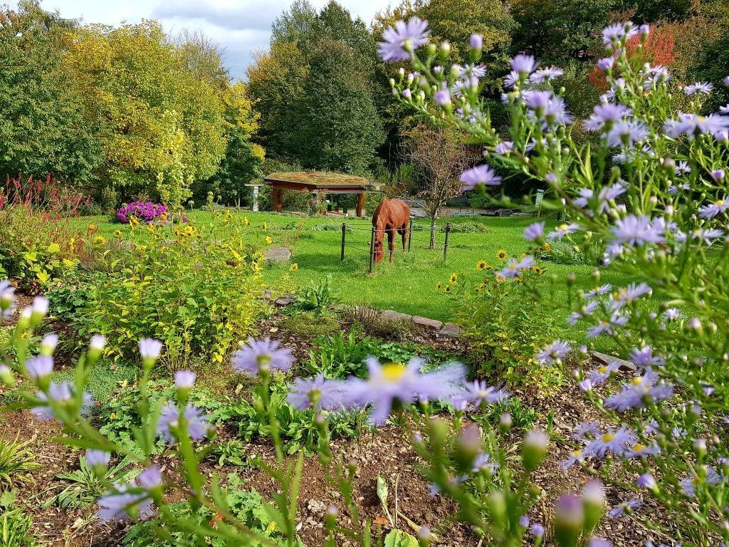 Bruker Garten | © GGB Lahnstein Bruker Garten | © GGB Lahnstein