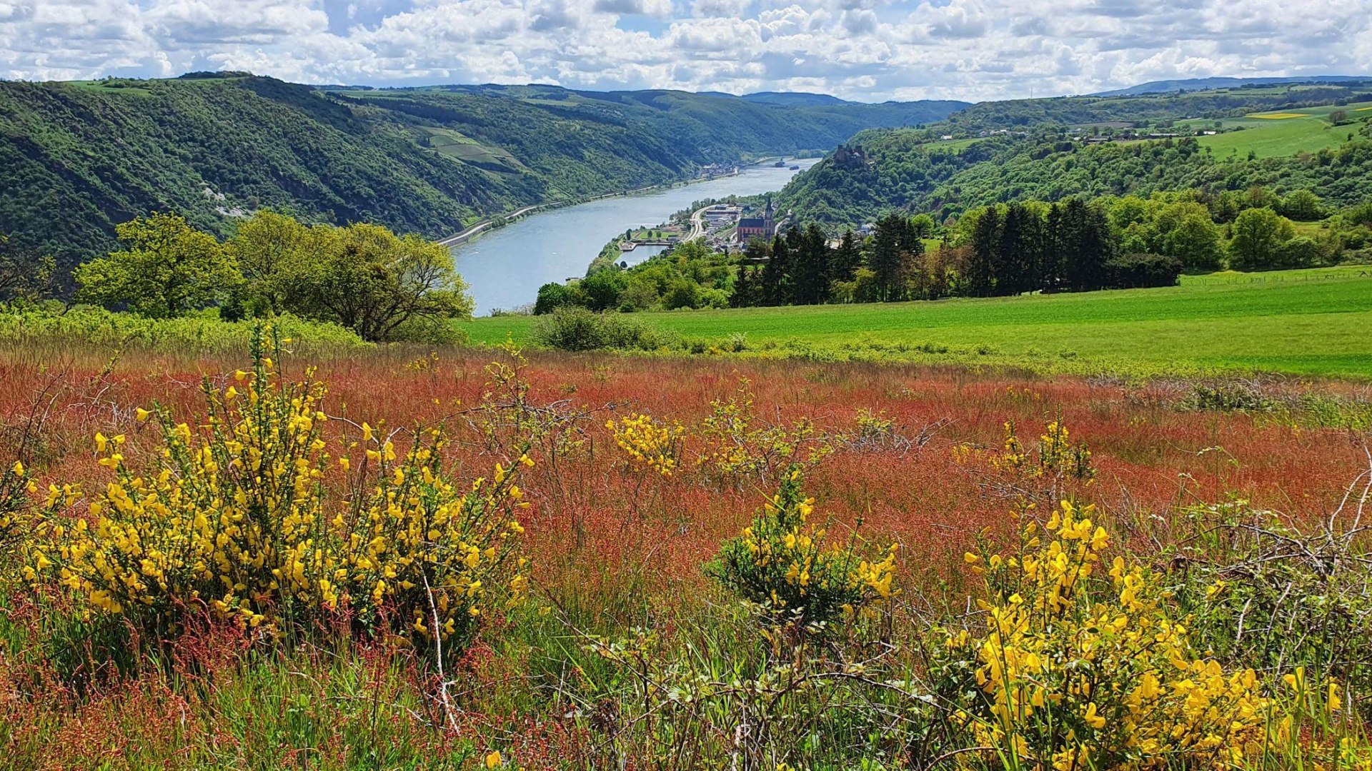 Niederburger Heide Blick Oberwesel | &copy; TI Hunsr&uuml;ck-Mittelrhein