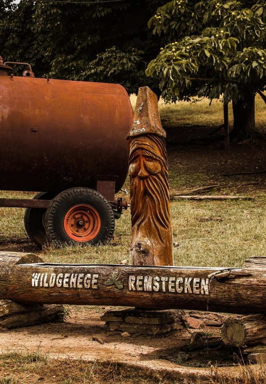 Remstecken | &copy; Johannes Bruchhof