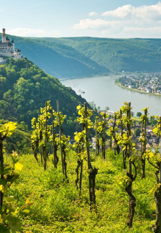 View of Marksburg | © Dominik Ketz / Rheinland-Pfalz Tourismus GmbH View of Marksburg | © Dominik Ketz / Rheinland-Pfalz Tourismus GmbH
