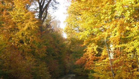 Kupperswiese Niederburg 1 | &copy; Sandra Schnober, Stadt St. Goar