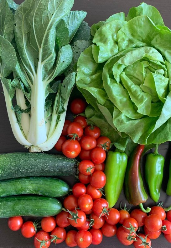 7 | &copy; Katringer Gr&uuml;nzeug eG