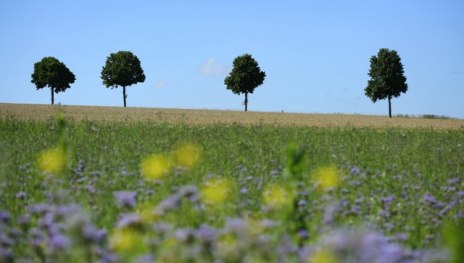&copy; Martin Kubat, Romantischer Rhein Tourismus GmbH