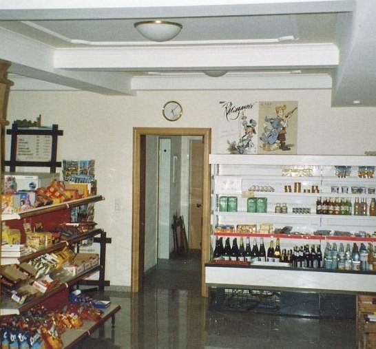 Camping R&uuml;desheim_2 | &copy; Campingplatz R&uuml;desheim am Rhein