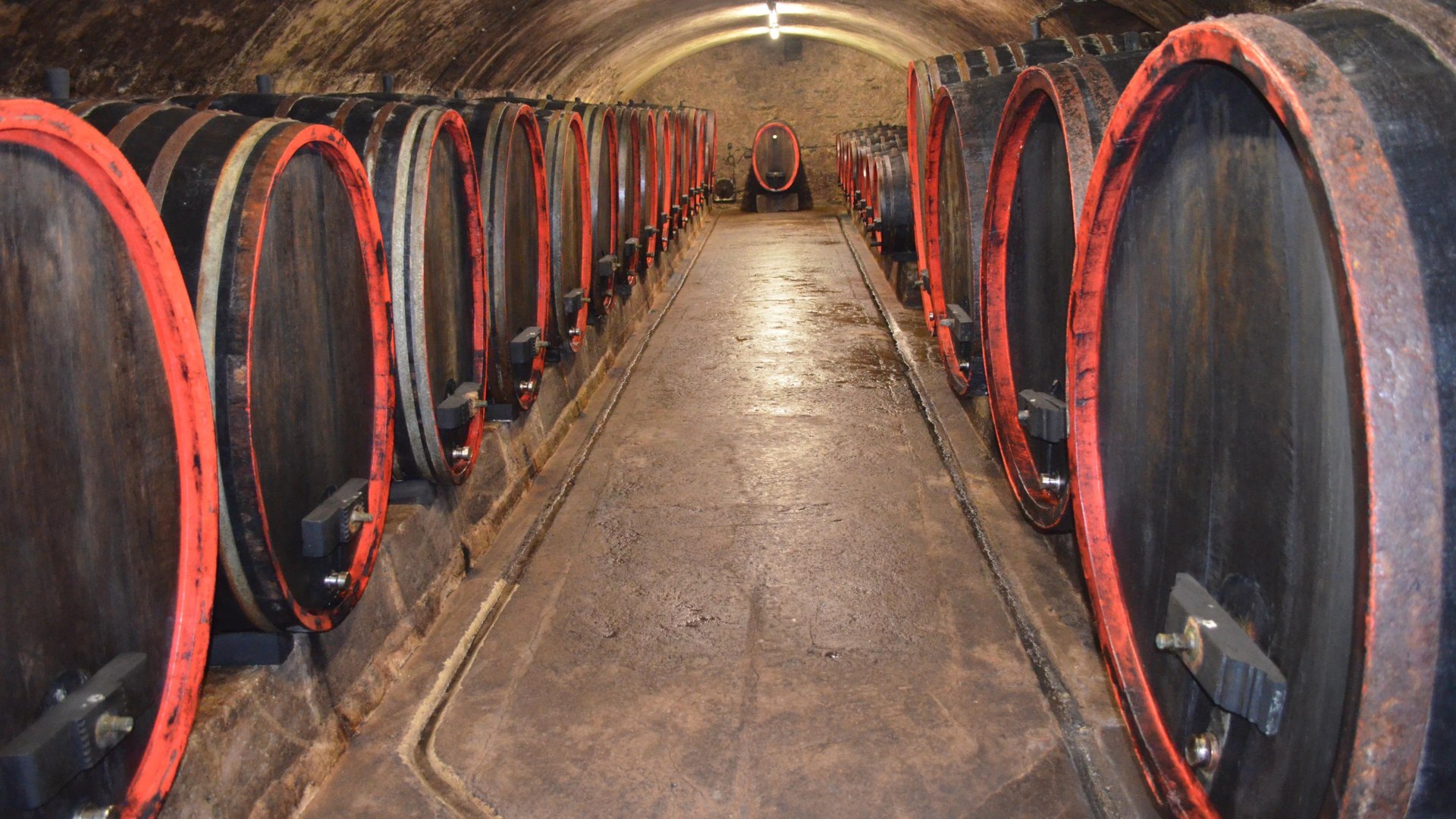 Weinkeller | &copy; Luise Lutterbach