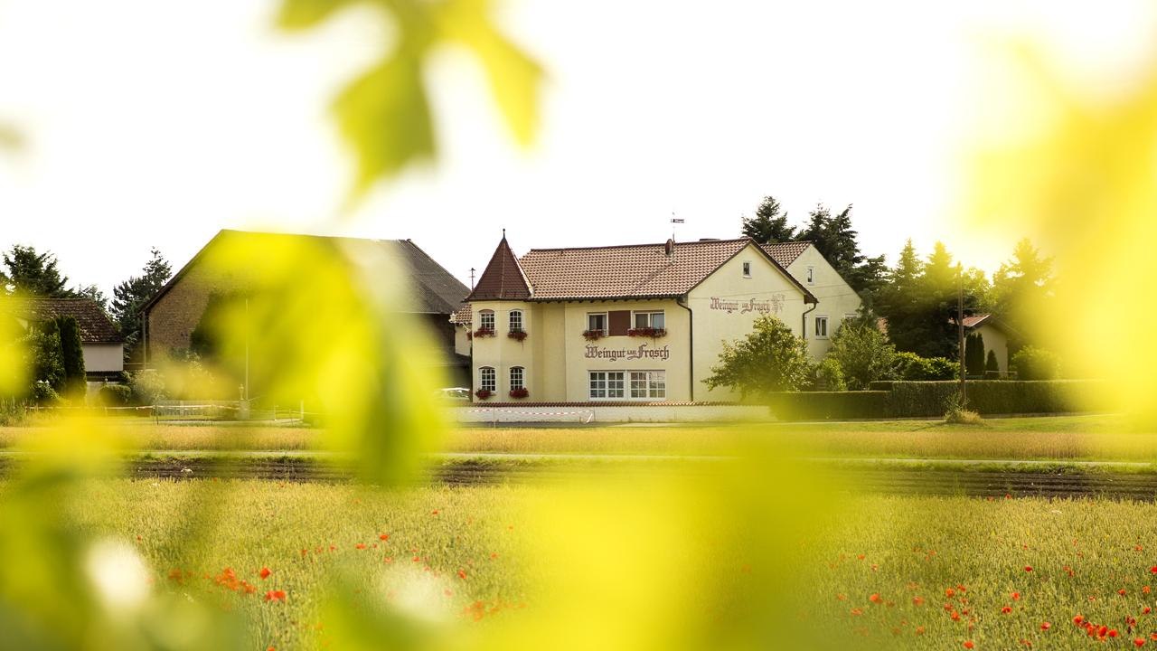 Weingut Frosch | &copy; Weingut Frosch