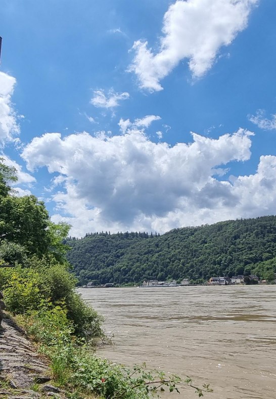 am Rhein | © Ulrike Dallmann am Rhein | © Ulrike Dallmann