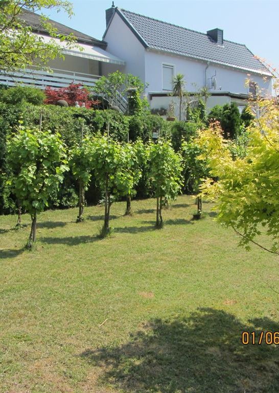 Garten 5 | © Bernd Schmitz
