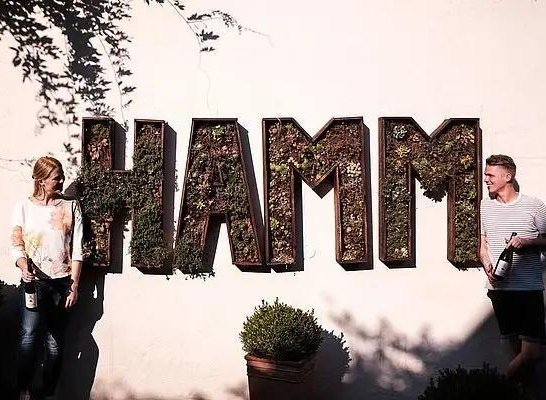 Weingut Hamm3 | &copy; Weingut Hamm