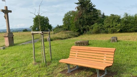 Bank Riesling Scheife Kostheim F&auml;hncheskreuz | &copy; Maren Gutberlet