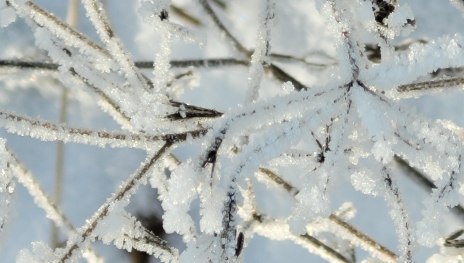 Eiskristalle | © Ti HuMi Eiskristalle | © Ti HuMi