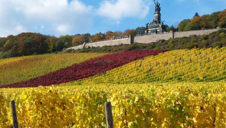 &copy; Karl-Heinz Walter, R&uuml;desheim Tourist AG