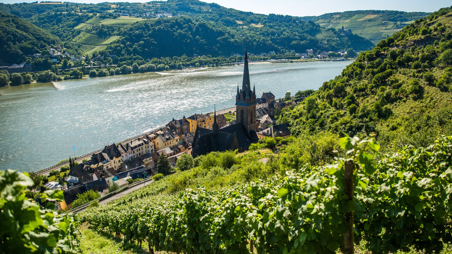 Blick auf Lorch | © Henry Tornow