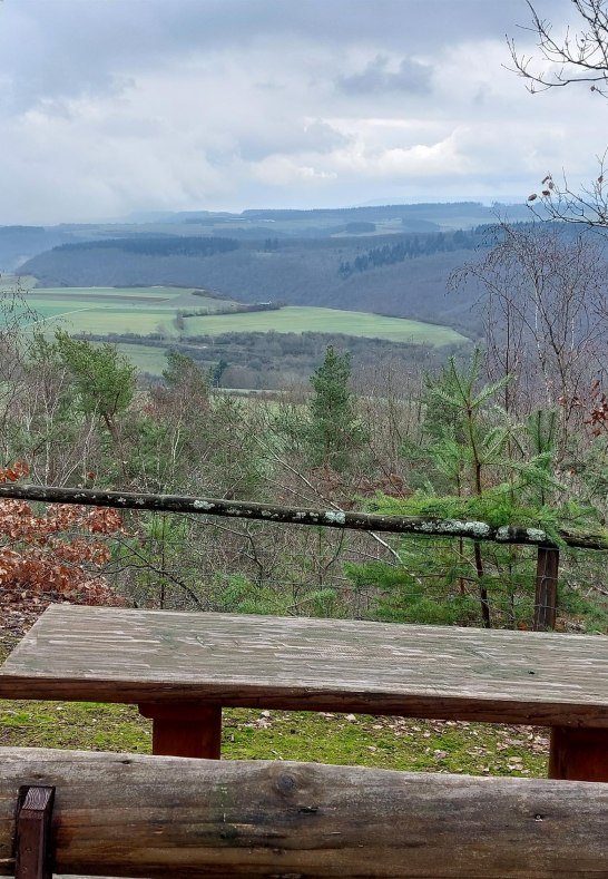 Picknickbank am Waldlehrpfad | © T. Biersch Picknickbank am Waldlehrpfad | © T. Biersch