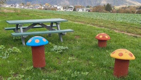 &copy; T. Biersch