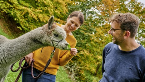 Alpakas | &copy; Florian Trykowski