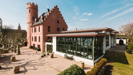 Imagefoto | &copy; VAUX, Sandra Fehr/Heroes of Riesling