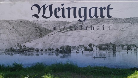 Weingart | &copy; Weingut Weingart
