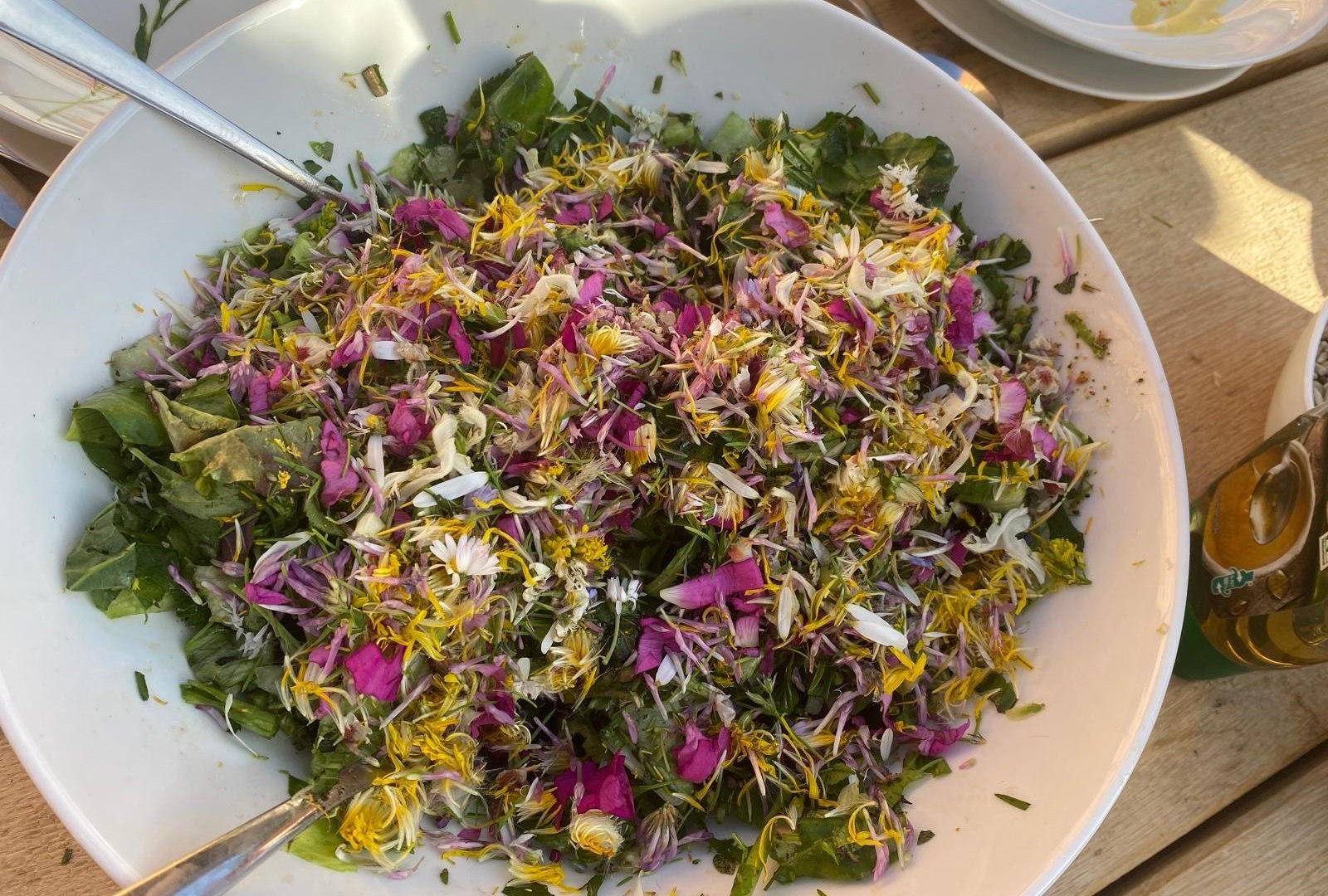 Wurzel | &copy; Angelika H&ouml;lz