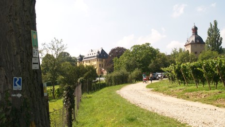 Schloss Vollrads | © Blum, Romantischer Rhein Tourismus GmbH