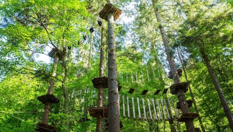 Kletterparcours | © Henry Tornow/Romantischer Rhein Tourismus GmbH Kletterparcours | © Henry Tornow/Romantischer Rhein Tourismus GmbH