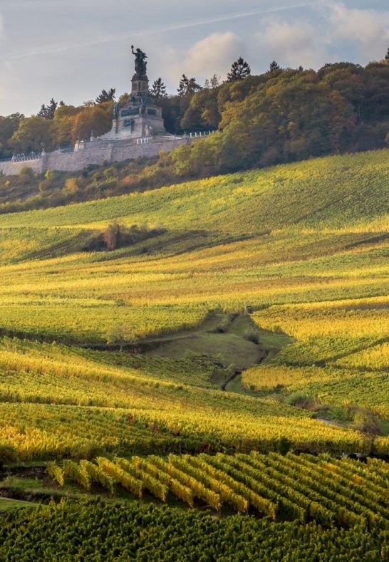 Wandbilder GK  (4) | © Thomas Weinsheimer