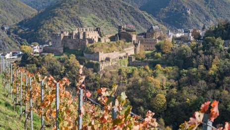 Rheinfels im Herbst | &copy; Andreas Pacek, fototour-deutschland.de